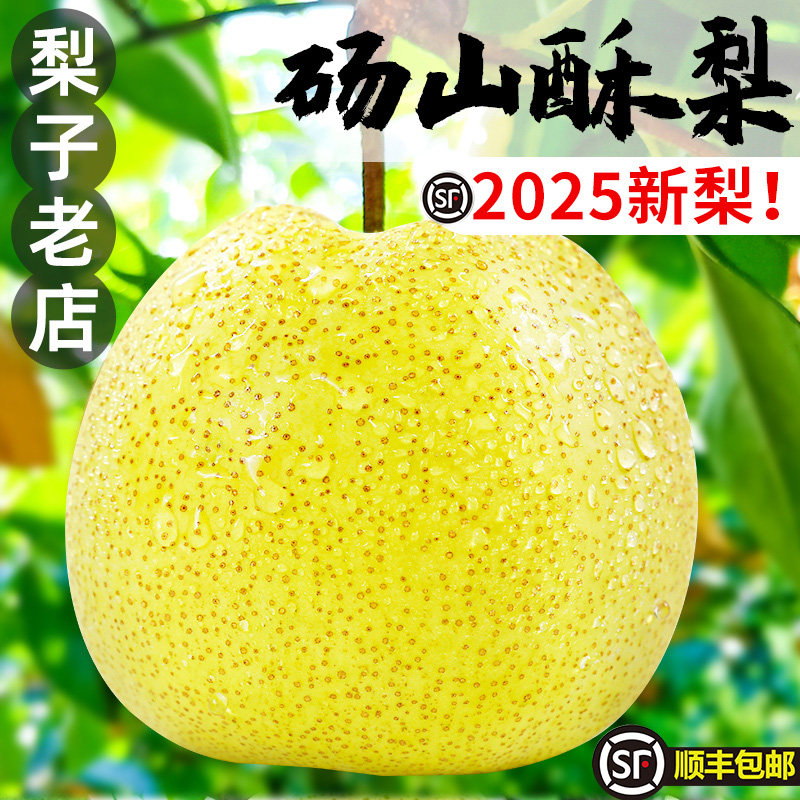 安徽正宗砀山酥梨新鲜水果当季梨子整箱特产青香梨脆雪梨整箱包邮