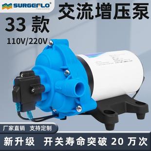 110v220v家用增压隔膜泵小型电动往复式 33款 自吸高压自动开关水泵