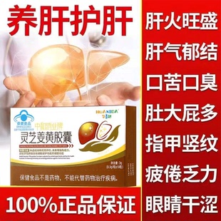 华喜达中和鸿业牌灵芝姜黄护肝胶囊熬夜养肝辅助保护化学性肝损伤
