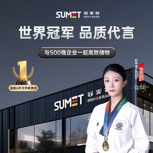 钢制办公室铁皮文件柜财务资料档案柜带锁凭证柜抽屉矮柜储物柜子