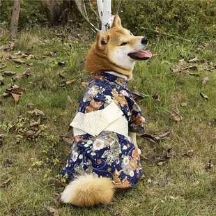 纯棉宠物狗狗猫咪衣服 柯基柴犬衣服日式公狗男款拍照和服浴衣