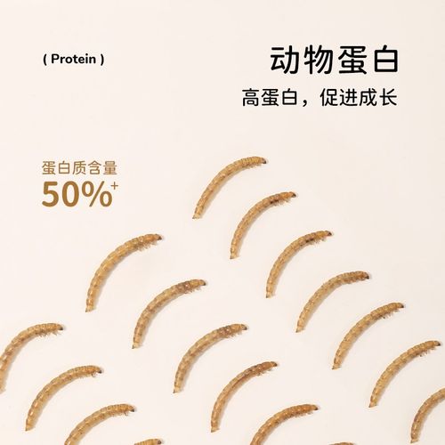 它适仓鼠零食面包虫干罐装粮食金丝熊营养主粮食物芦丁鸡饲料用品