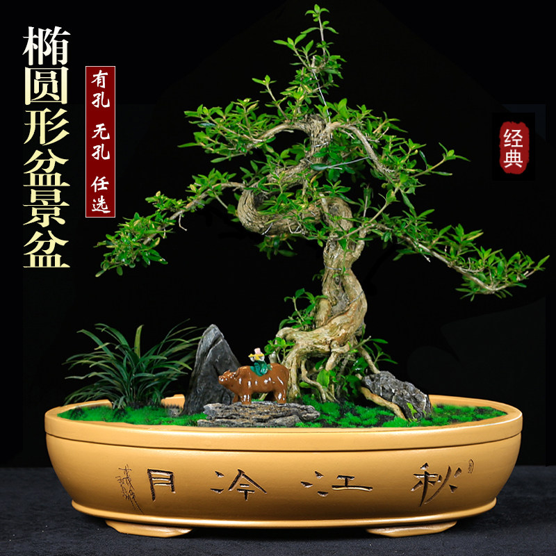 宜兴简约紫e砂浅盆无孔水盘假山吸水石盆景盆特大号陶瓷老桩有孔