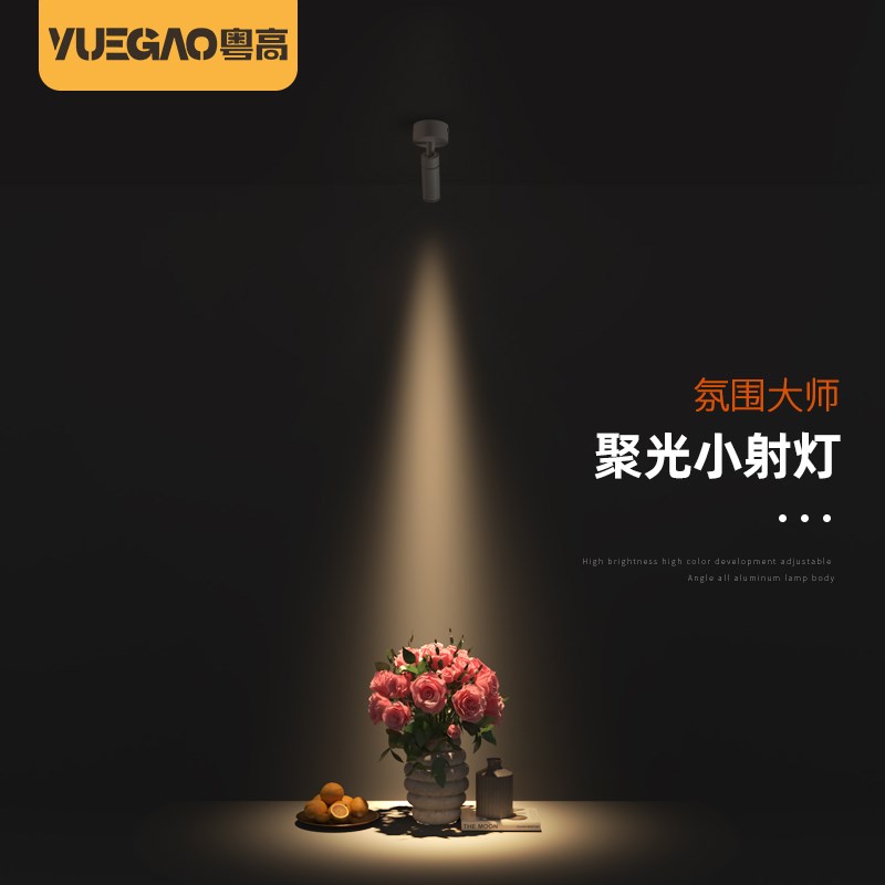 迷你一束聚光led明q装轨道灯射灯小角度嵌入式氛围灯茶室餐桌摆件