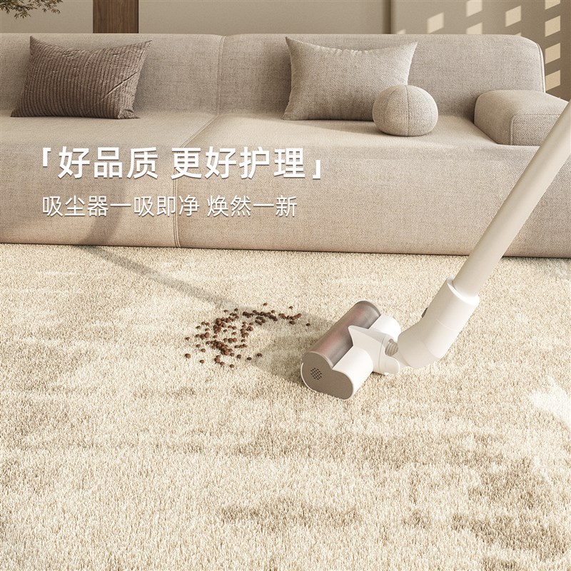 地毯卧室床边毯2025新款侘寂风家用免洗可擦客厅沙发毛绒地垫隔音
