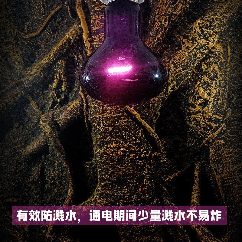 爬虫UVA夜灯爬宠箱蜥蜴陆龟寄居蟹晒背鹦鹉鸟灯夜间保温加热日灯
