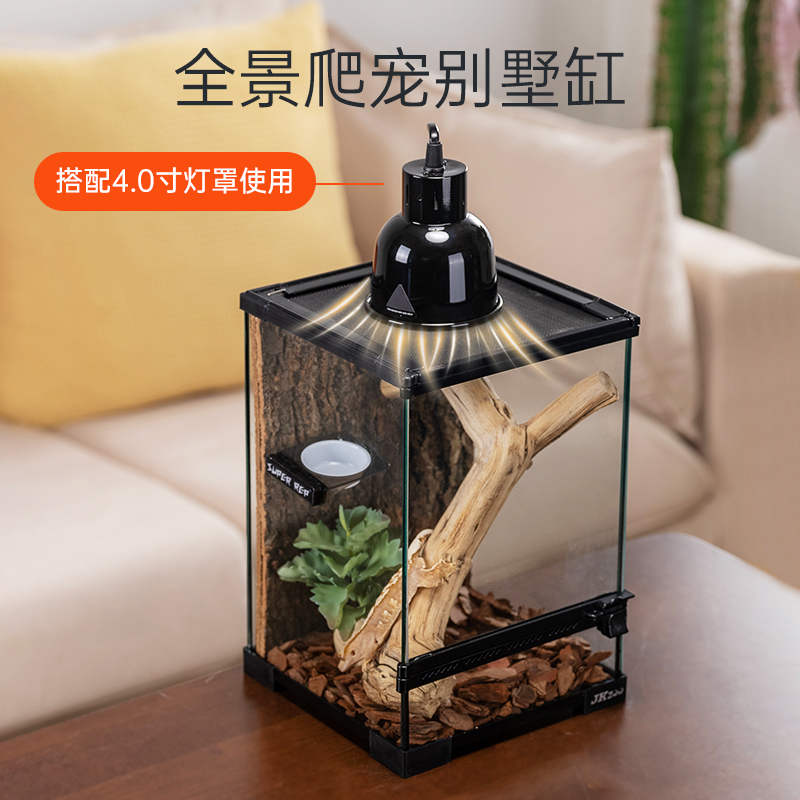 单开门爬宠饲养箱姥爷蛙玻璃缸睫角守宫树栖生态造景角蛙雨林缸