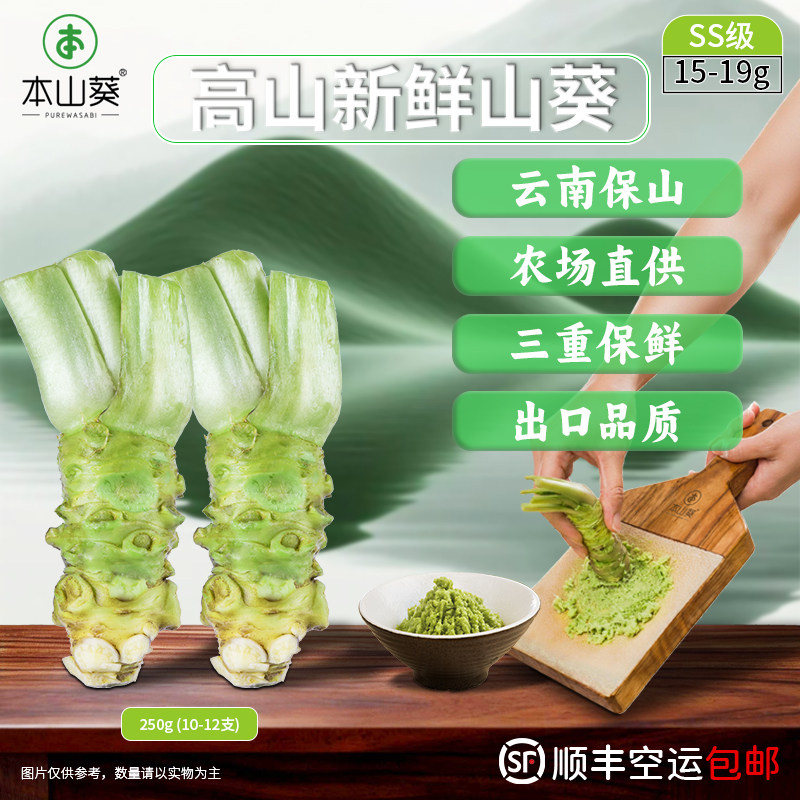 正宗云南保山新鲜山葵出口日本商用SS级0添加配寿司日料海鲜刺身