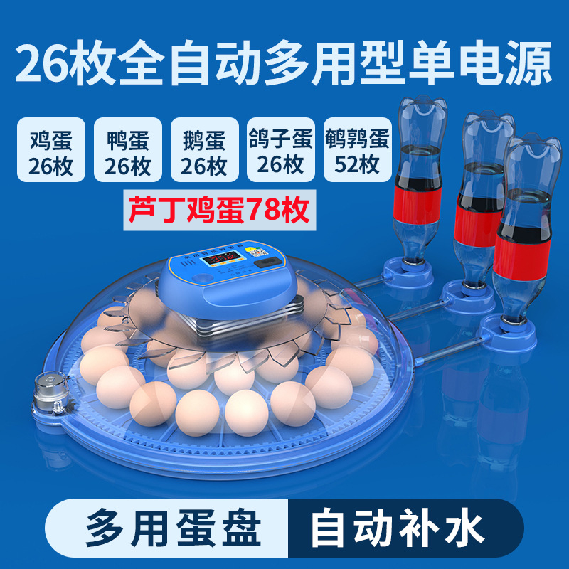 全自动孵化机 智能孵化箱小型家用芦丁鸡孵化器小鸡鸭鹅鸽子孵蛋