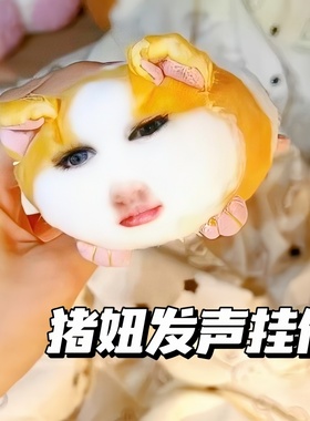 猪妞发声玩偶可爱抽象搞笑抽象荷兰猪仙女下凡玩偶可录音毛绒玩具