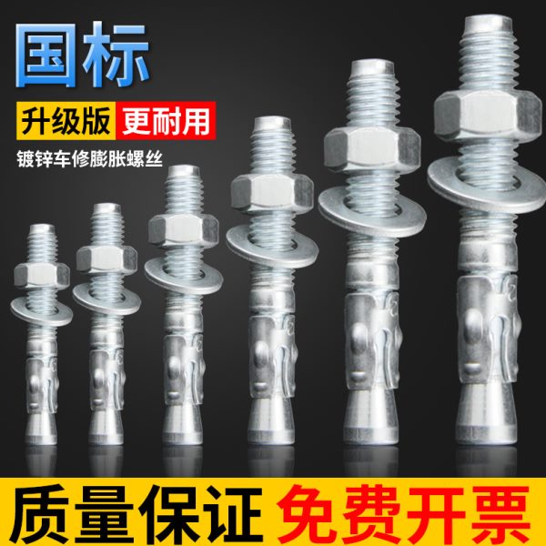 国标车修壁虎膨胀螺丝电梯专用膨胀螺栓车修拉爆M6M8M10M12-M20
