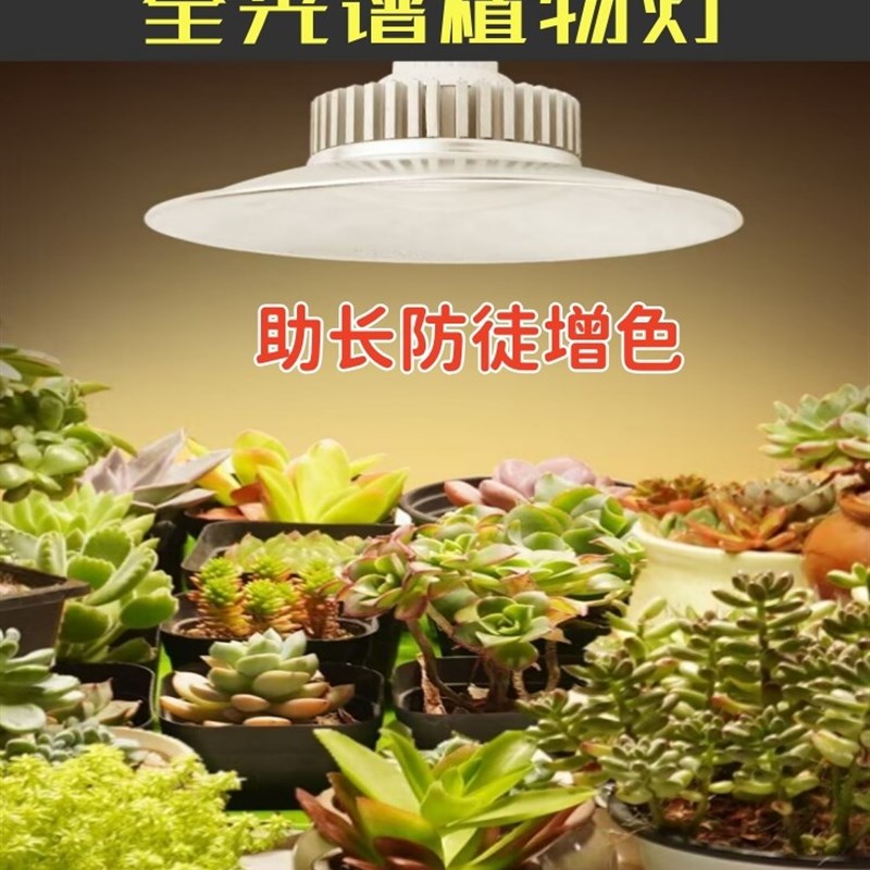 专业植物生长灯花卉专用补光灯火龙果补光灯温室大棚蔬菜花卉多肉图片