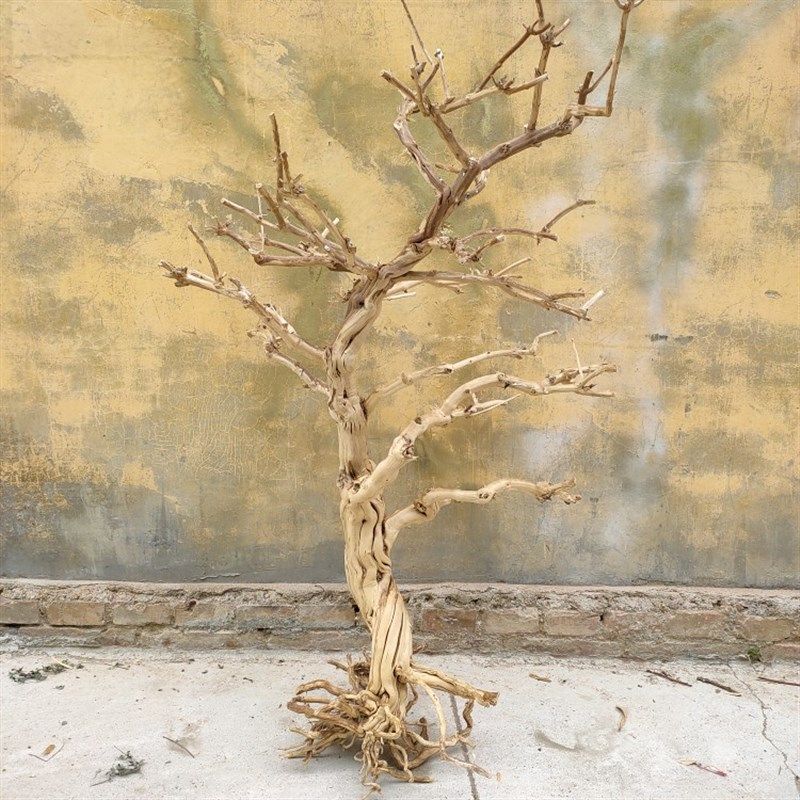金银花造型干树枝枯树支造型树支树杈H实木树枝手工树枝树杈干支