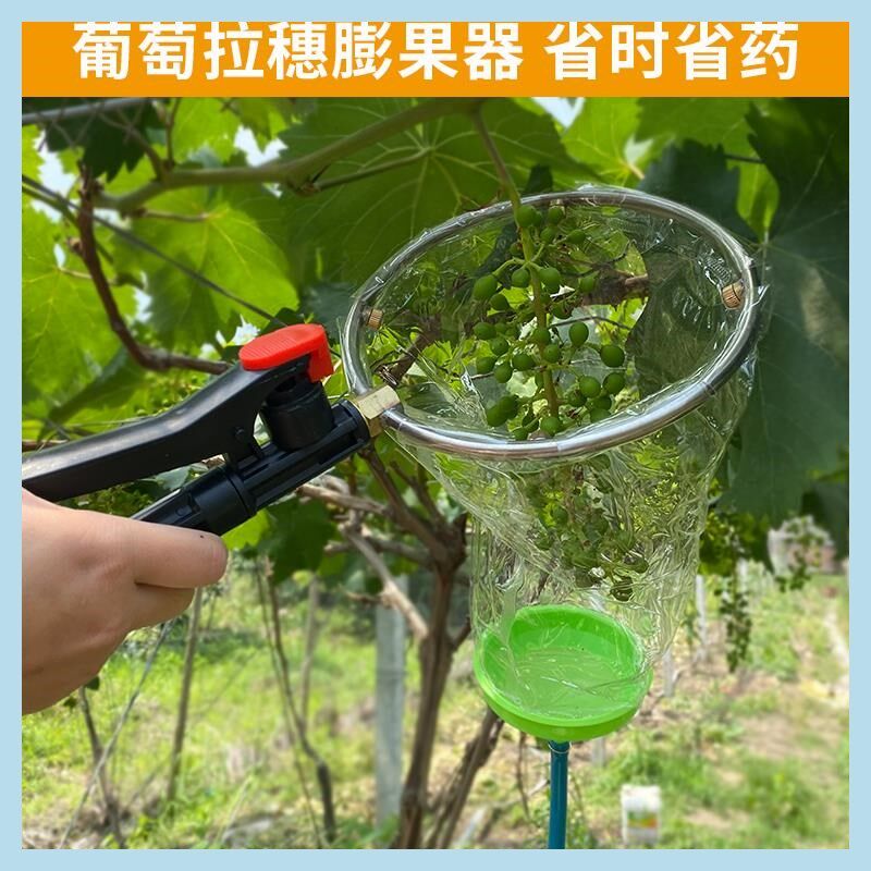 葡萄浸果器d电动膨大神器膨果器沾药器拉穗铜雾化环形喷头浸果器
