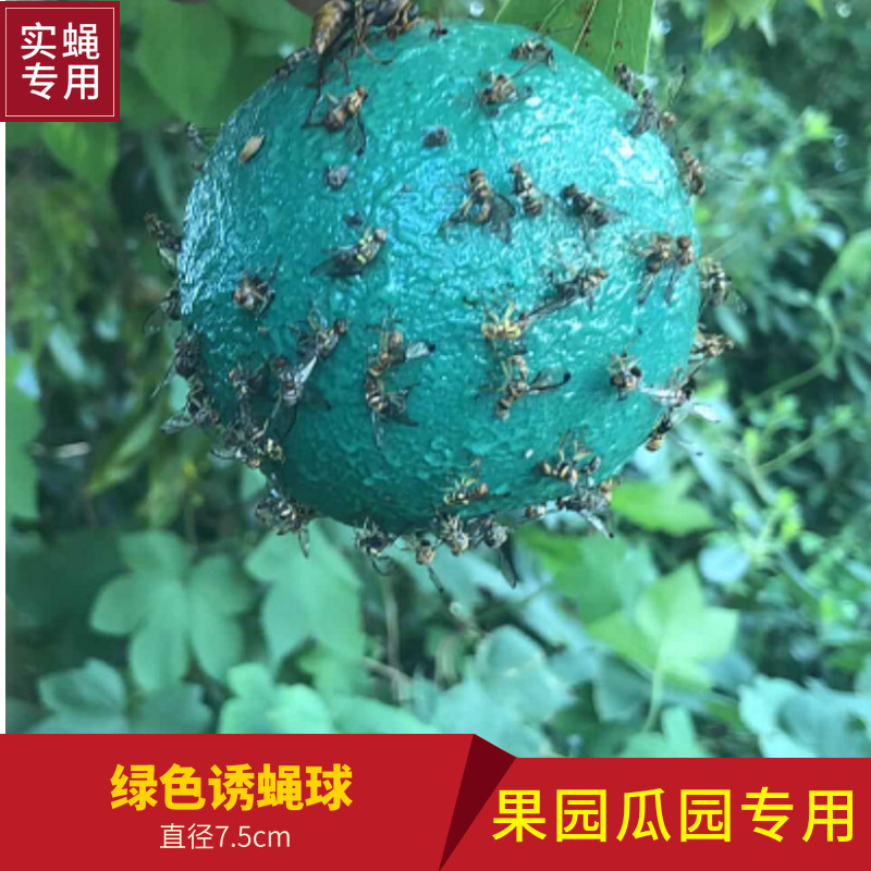 瓜果实蝇针峰实蝇粘胶板绿色黄色诱蝇球果园瓜园专用粘虫板诱虫板