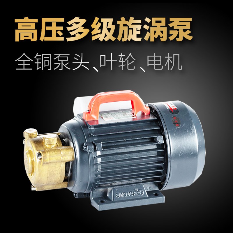 蒸汽发生器d高温高压水泵电蒸汽锅炉多级旋涡泵电热蒸汽发生器配
