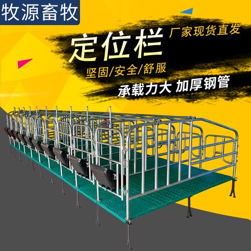母猪限位栏落地式母猪定位栏带漏粪板镀锌猪场用畜牧养殖设备产床