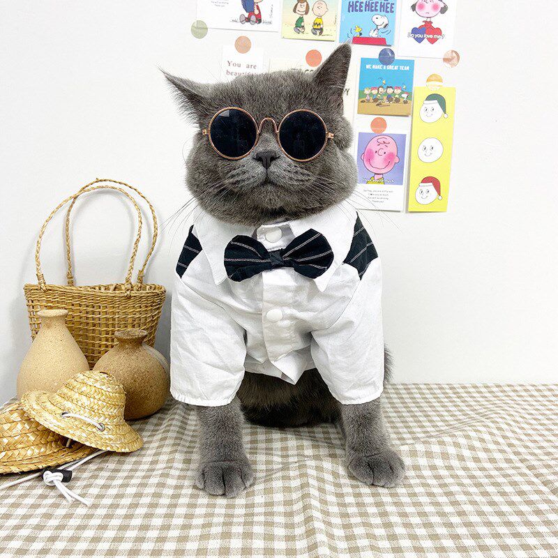 宠物狗狗猫咪春夏季衣服薄款西服衬衫西装婚纱礼服结婚泰迪大型犬