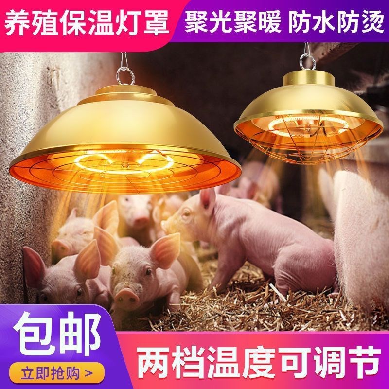 碳纤维保温灯仔猪用卤素保温灯管鸡用取暖灯泡可调温加热取暖灯罩