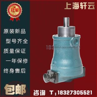400SCY14 1B轴向柱塞泵 160 上海轩云10 100 250