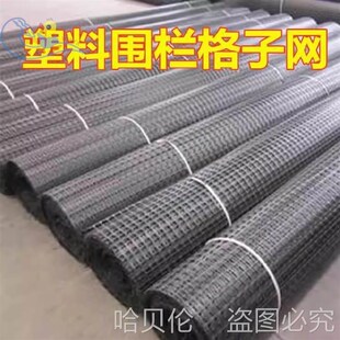 大棚防兜雪网格栅防兜水网格防护网种植格栅脚踩搭棚加强防风盖膜