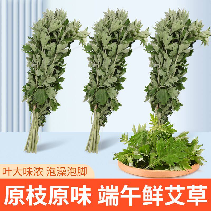 新鲜艾草根整棵艾叶菖蒲束整艾草