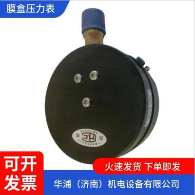 双金属温度计不锈钢径向工业用锅炉高温管道温度表测油温WSS40115