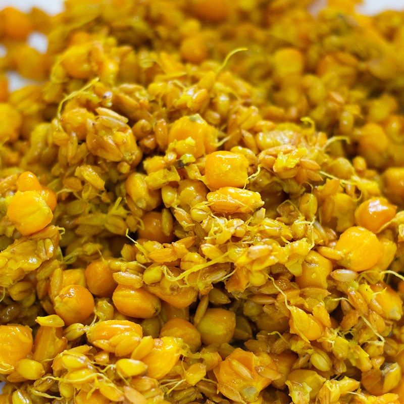 啤窝麦芽胚胎谷麦窝料主钓鲫鲤草扁翘嘴可打窝可挂饵饵料野钓窝料,户外/登山/野营/旅行用品,台钓饵,淘宝优惠券,粉丝福利购,淘宝优惠卷