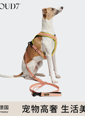 cloud7零拉力牵引绳外出遛狗绳大中小型犬弹性缓冲可伸缩牵引