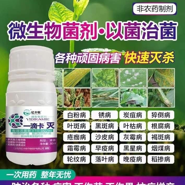 正品一滴卡灭微生物菌剂真菌细菌病毒病白粉霜霉病炭疽叶斑灰霉