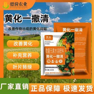 国标黄化一撒清微量元素水溶肥改善叶片黄化转绿强健植物树势