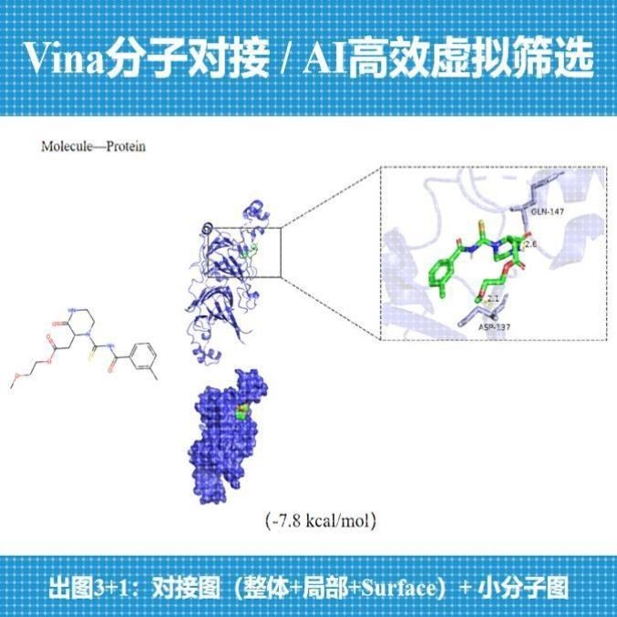 分子对接Vina/虚拟筛选Vina+高效AI