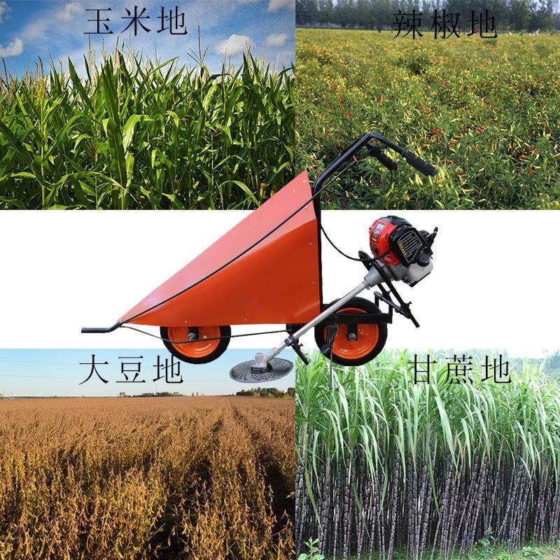 辣椒收割小型收割辣椒玉杆子秸秆割晒秸秆割倒