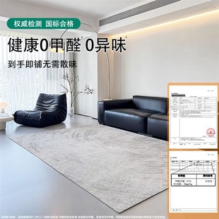 家用卧室沙发茶几地垫北欧防水免洗可擦 轻奢高级客厅地毯2025新款