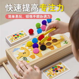 夹毛球早教教具儿童益智专注力训练玩具手指精细动作捡豆子练习