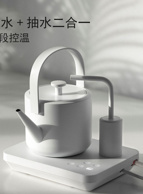 小提白色电热水壶带上水烧水壶提梁泡茶壶小型茶V艺用壶三段控温