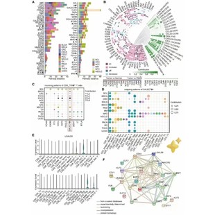 生信分析1-5分单细胞测序套餐TCGA/GEO数据库挖掘生信分析服务