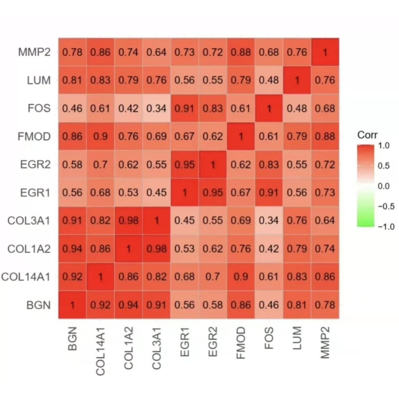 单细胞测序数据分析RNA-seq全转录组服务