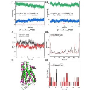 分子对接 分子动力学模拟 MMGBSA结合自由能计算