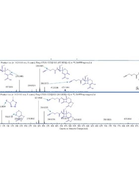 LCMS检测 液相质谱分析检测 药物杂质降解产物中药代谢物代谢组学