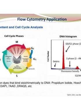 流式数据分析-流式细胞专业优质快速当日达modift,flowjo,FCAP
