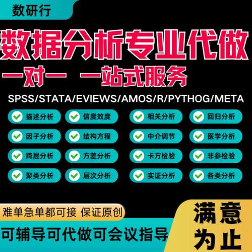 SPSS数据分析服务meta调整Stata计量amos问卷eviews统计医学r辅导