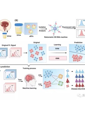 科研绘图封面信号通路医学SCI作图插画 机制图TOC摘要图画图 制图