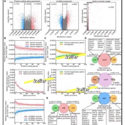 NCBI数据上传下载SRA/GEO/genbank/bankit 基因/转录/代谢/扩增子