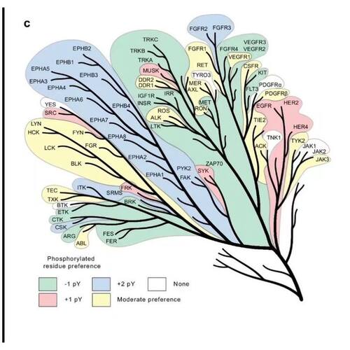 个人】r语言绘图医学统计微生物生存SPSS生信分析作图临床画图