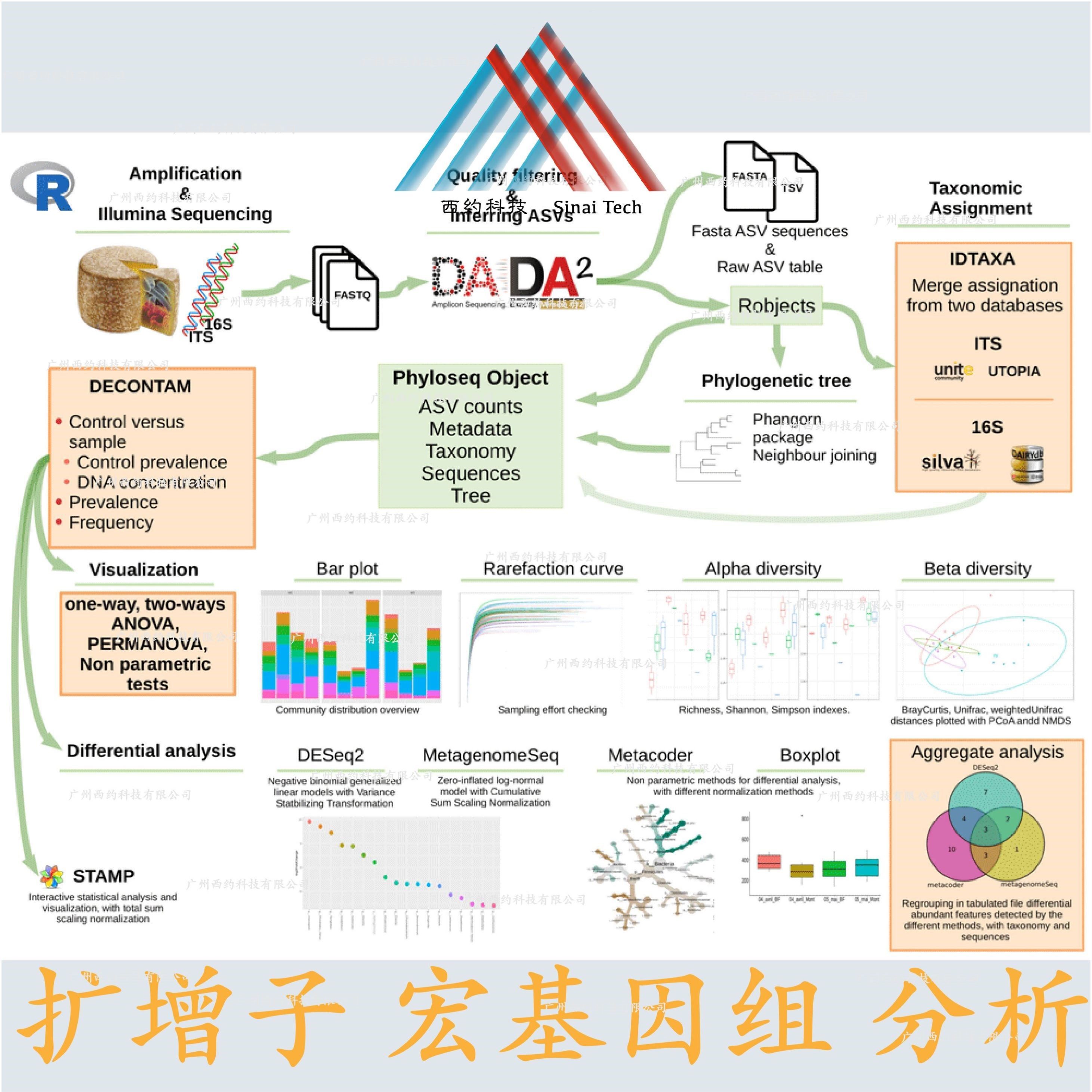 生信分析生物转录组服务2-8geo数据挖掘单细胞测序分析网络药理学