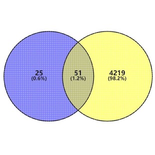 venn图，PPI蛋白质互作网络，kegg富集分析都可以做