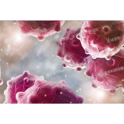 专业医学科研绘图3D建模手术图科普基金SCI机制（北医博士团队）