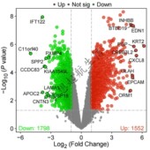 TCGA GEO数据库挖掘细胞测序转录组分析