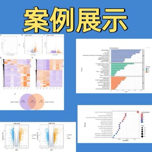 生信分析服务实验外包火山图绘制医学实验病理检测
